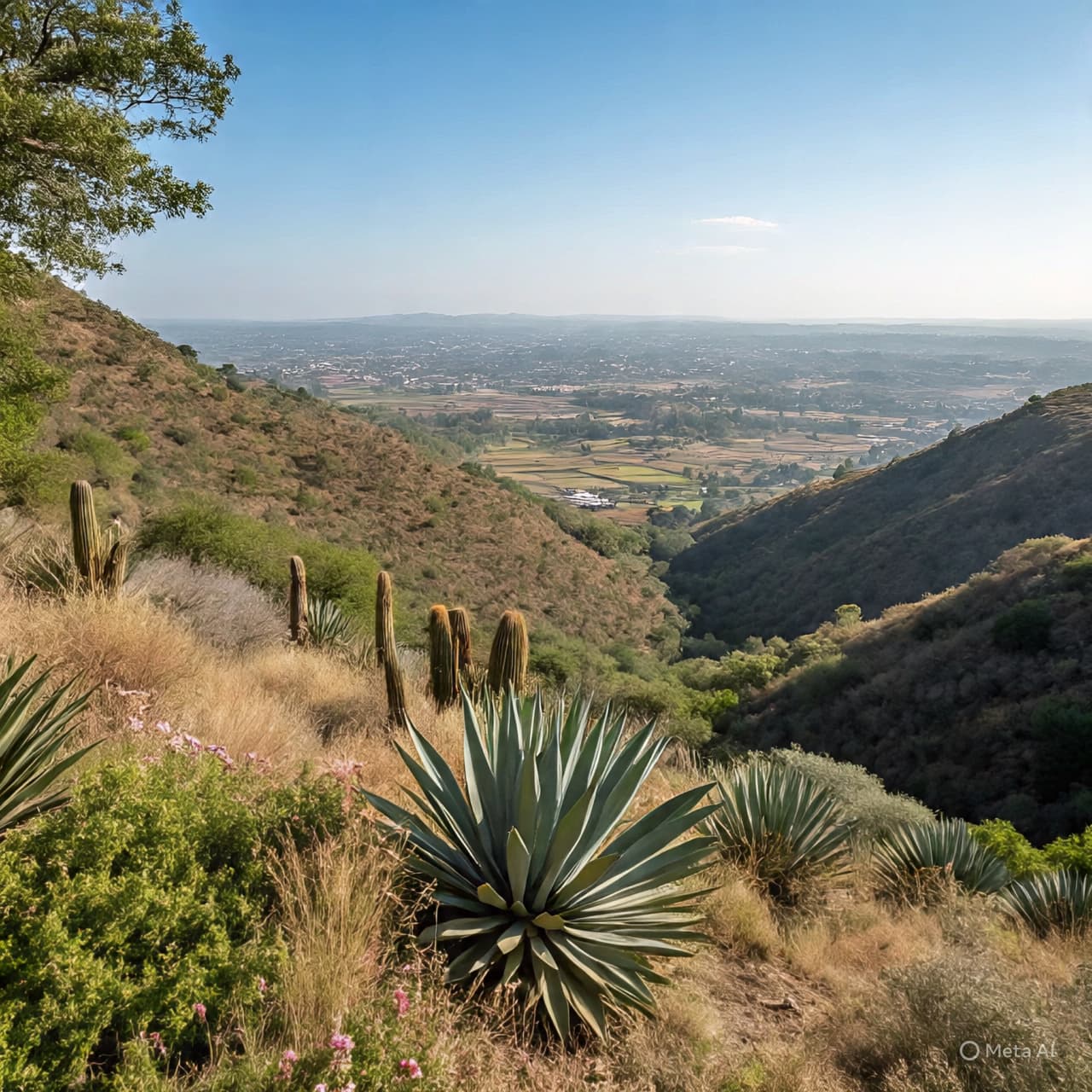Where the Hills Hold Silence: Searching for the Lost and Found in Sinaloa