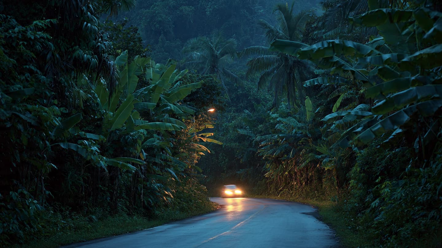 Where the Path Ends in Whispers: A Reflection on the Silence of Quang Tri