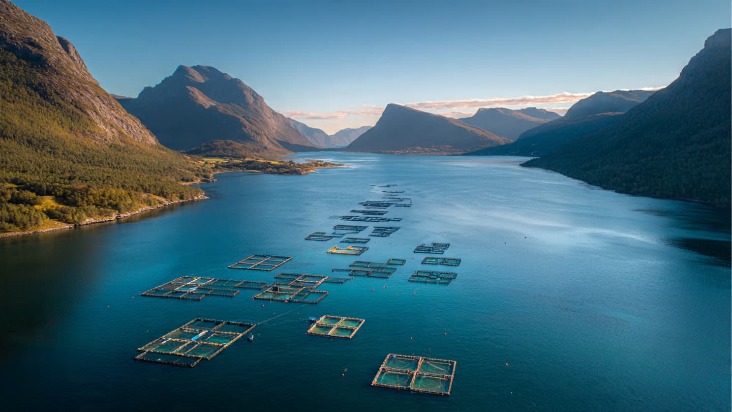 Beneath Calm Fjords, What Does Industry Leave Behind?