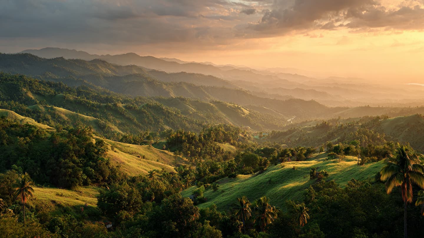 Between the Verdant Hills and the Cold Steel of Law in the Quiet Heart of Jamaica