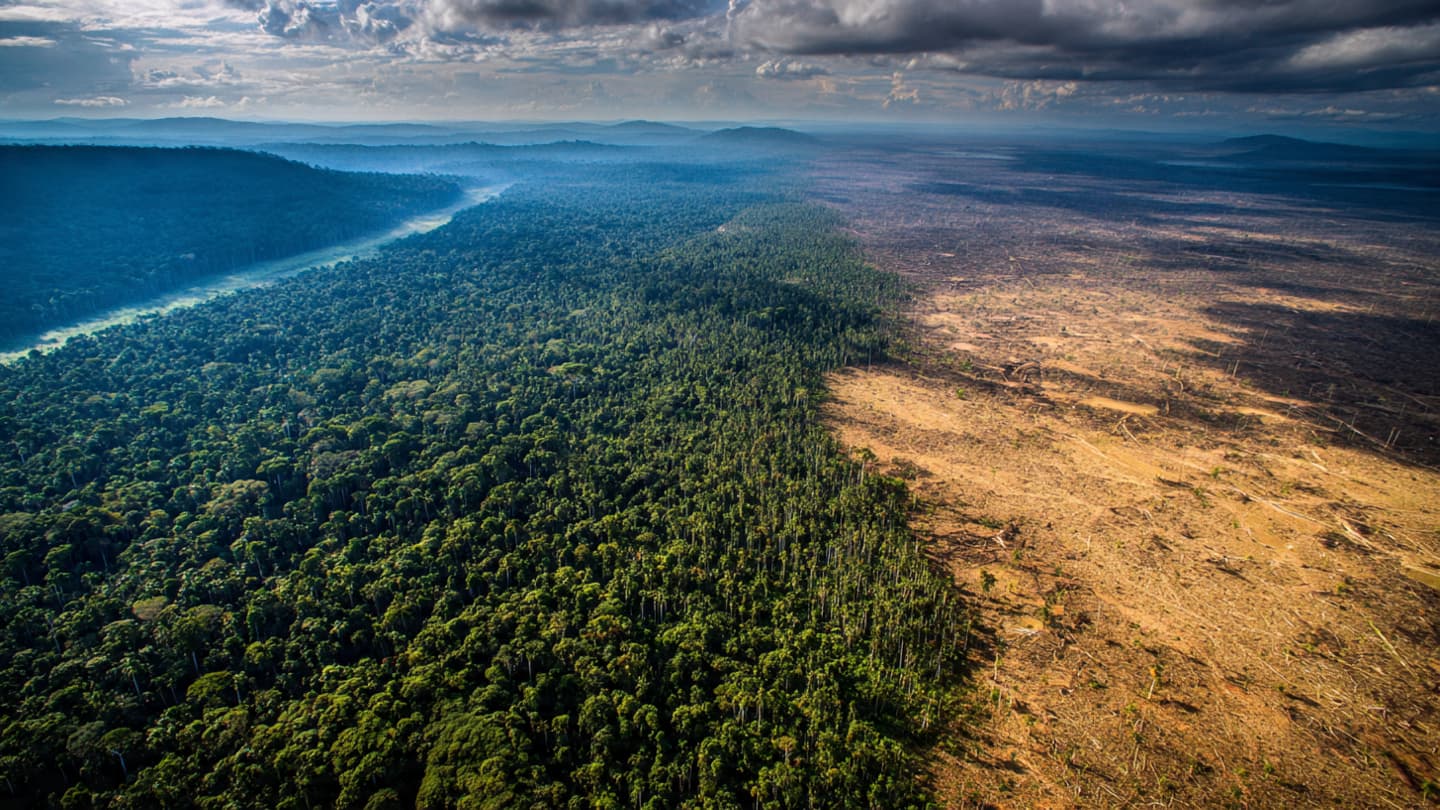 One-Fifth of Earth’s Ecosystems Could Face Collapse Within a Generation