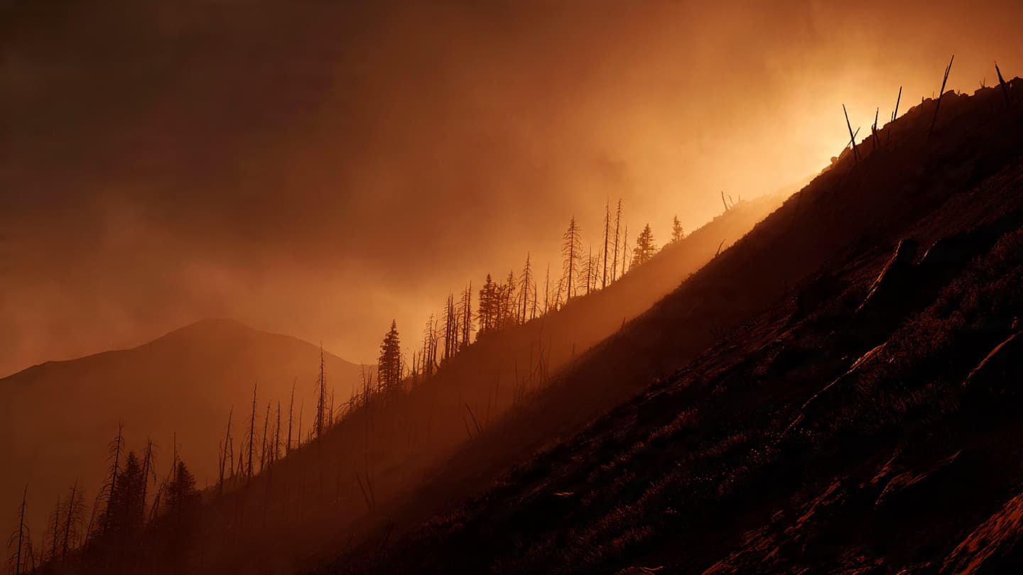 Where the Sky Turns to Ash and the Forest Becomes a Memory of Smoke