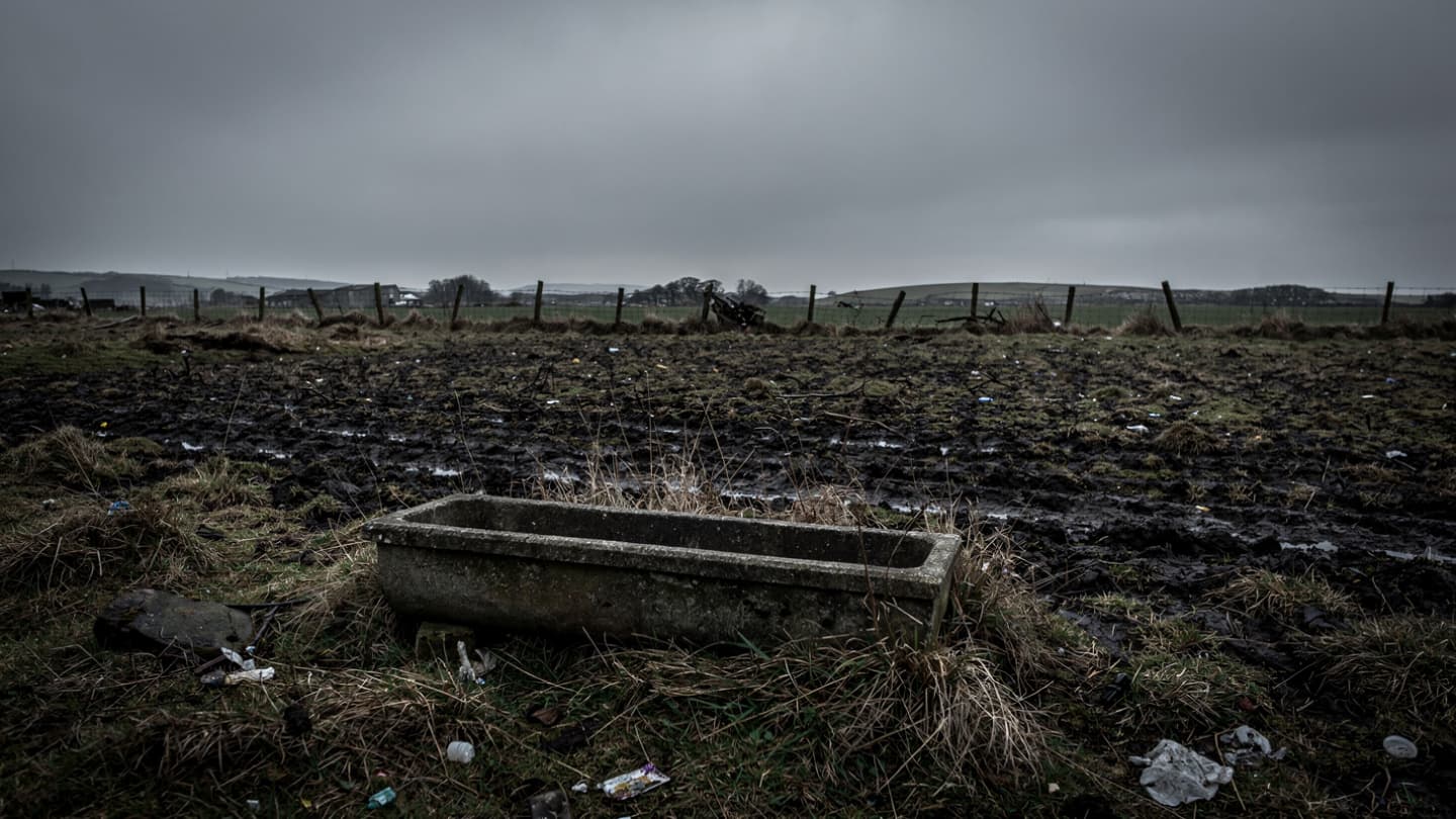 When the Fields Bear a Heavy Witness, A Farmer Faces Three Hundred Sorrows