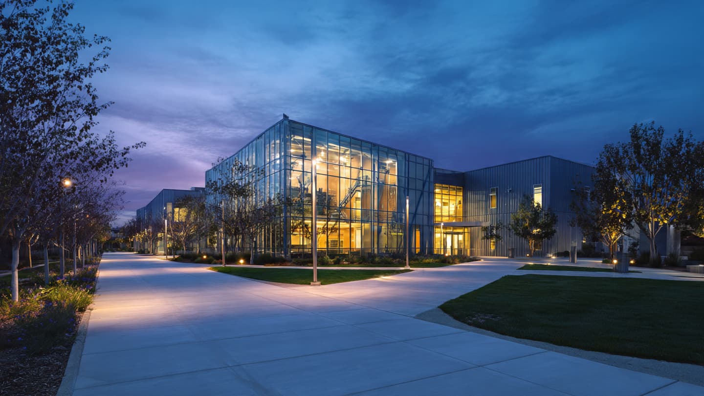 Beneath the Cold Flicker of the Campus Lens, The Search for a Vanished Path