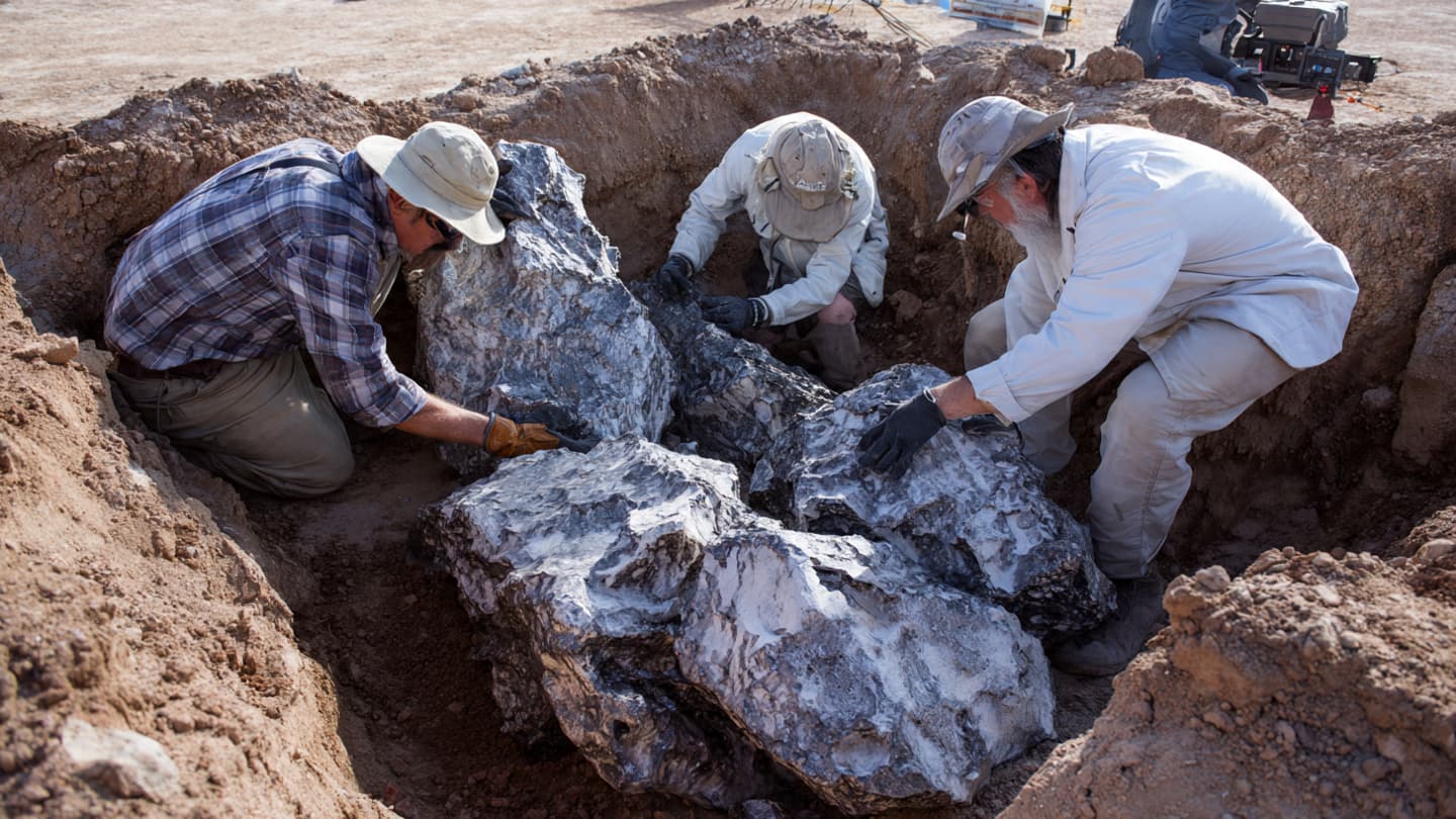 When Fragments from Space Resurface, What Stories Do They Carry?
