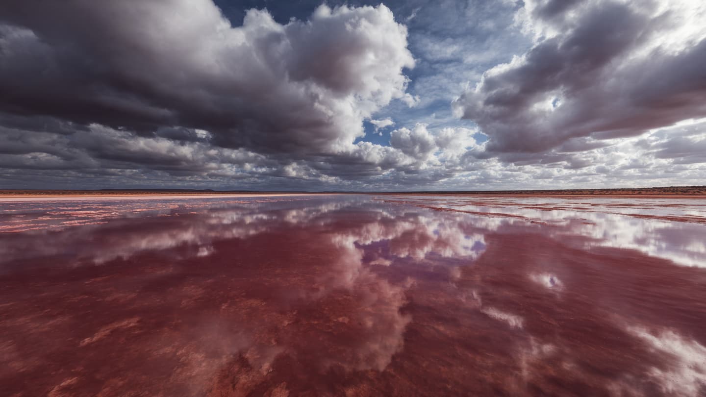 When the Desert Drinks: The Quiet Narrative of Tropical Low Thirty-One U in Australia