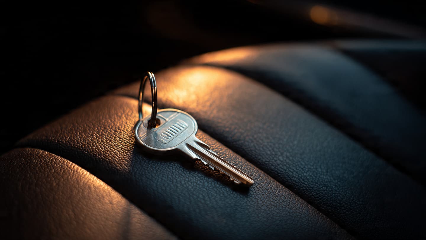 The Key to a Broken Sanctuary: Reflections on an Opportunist in the Night