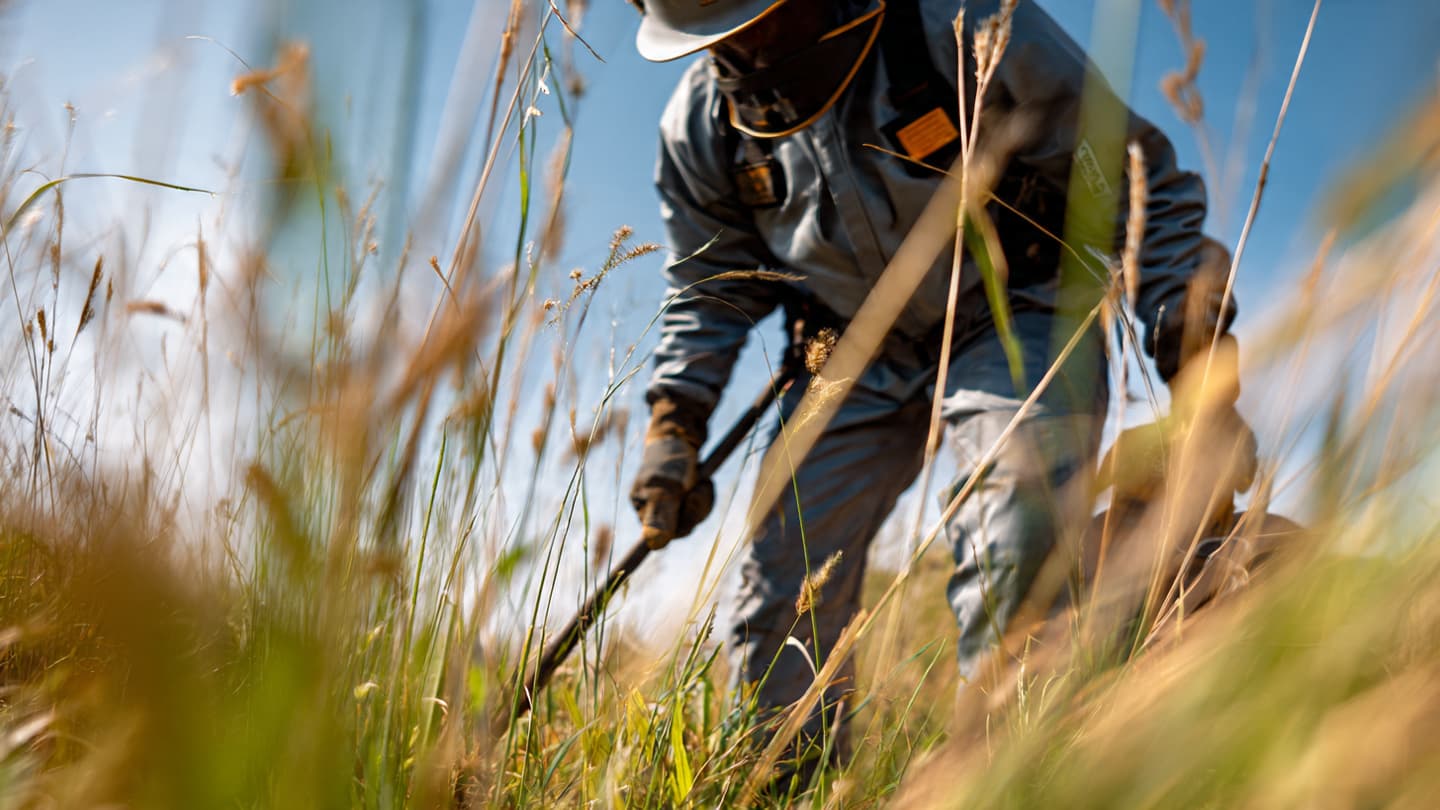 In the Quiet Echo of the Belgrade Brief, Reflections on a Mine-Free Future
