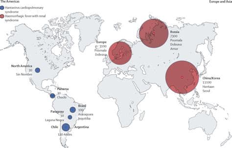 WHO Head Tells Countries to Prepare for More Hantavirus Cases