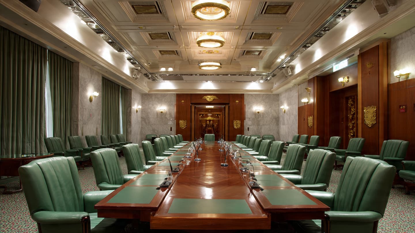 The Watchful Eye over the Southern Sky: Reflections on the Australian Senate’s Economic Inquiry