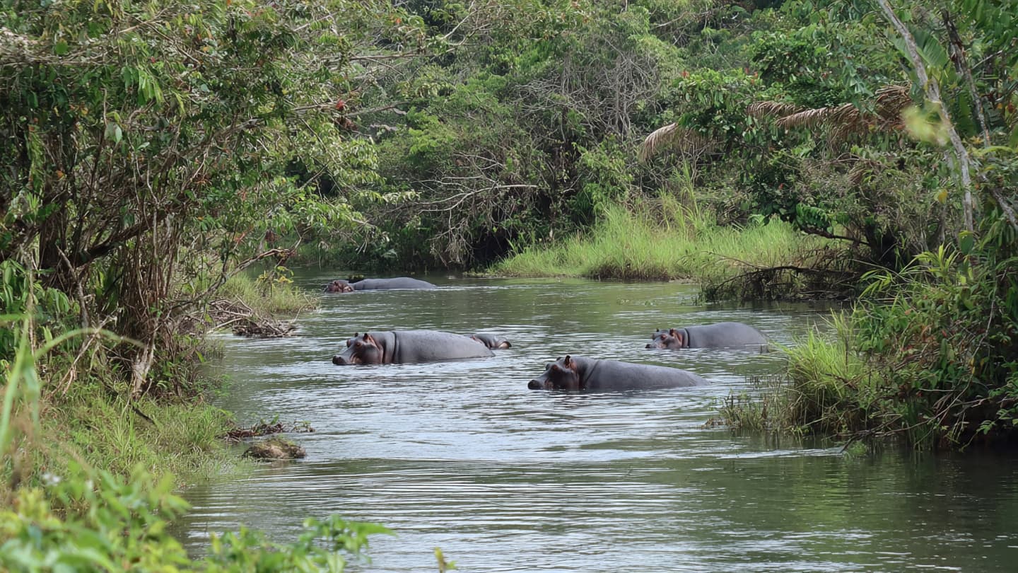 When History Roams Wild, Who Decides Its Future?