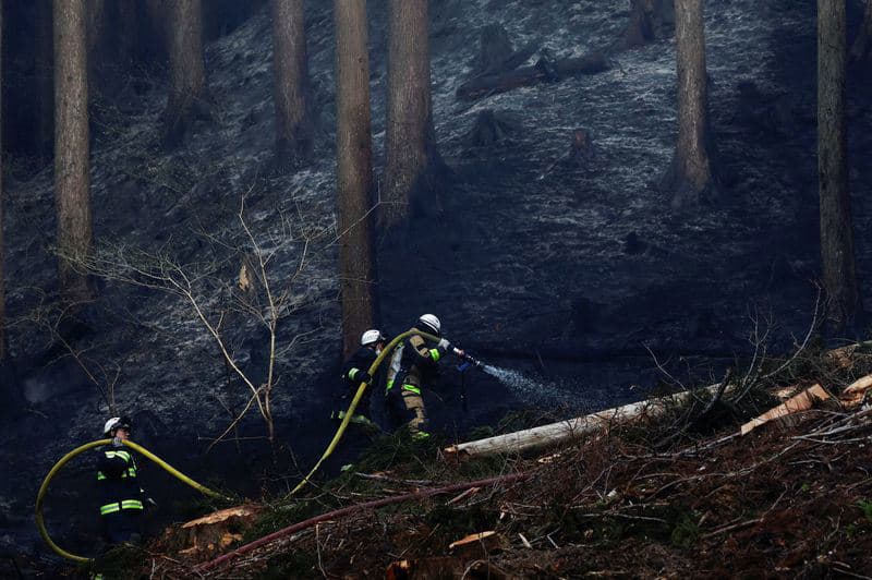 Firefighters in Northern Japan Struggle to Contain Wildfires as Over 3,000 Evacuated