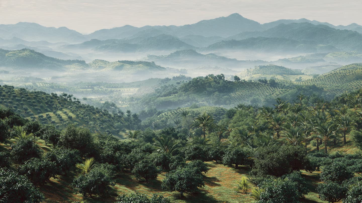 Beyond the Dark Veins of the Earth: A Journey into the New Green