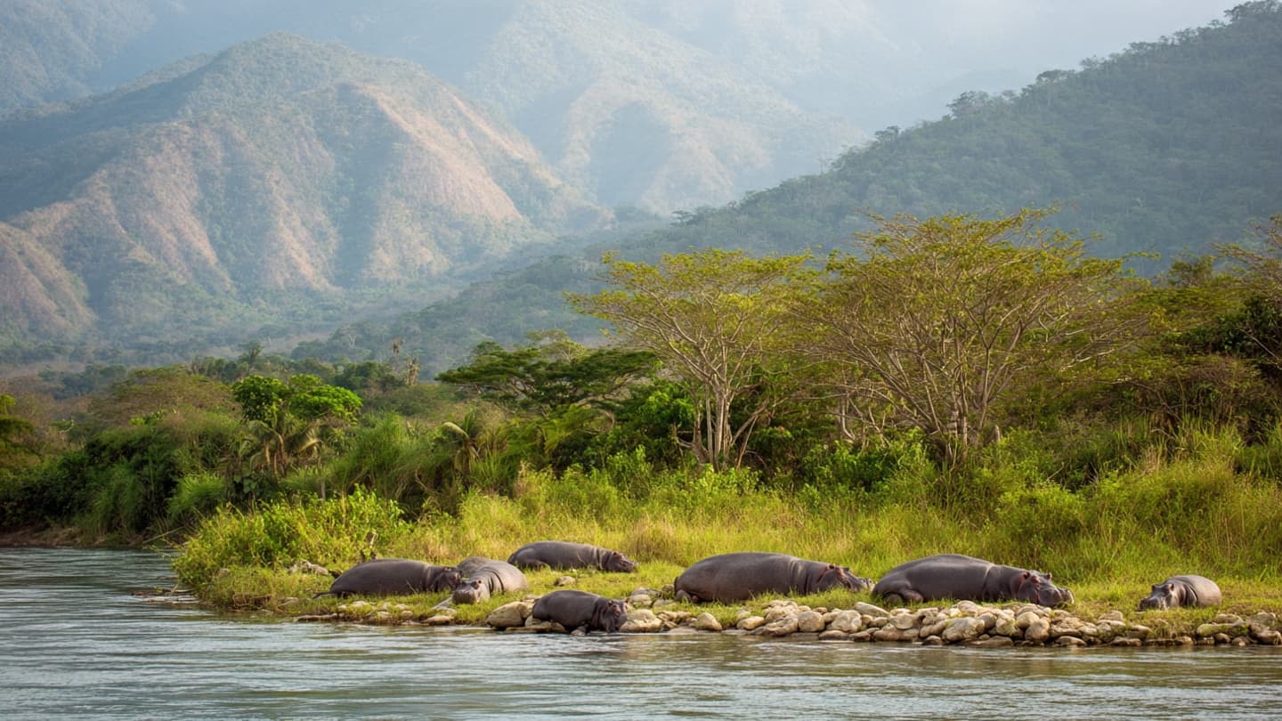 When History Breathes, Colombia Faces a Living Legacy of Uncertainty