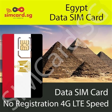 Egypt Introduces SIM Cards Specifically Designed for Children