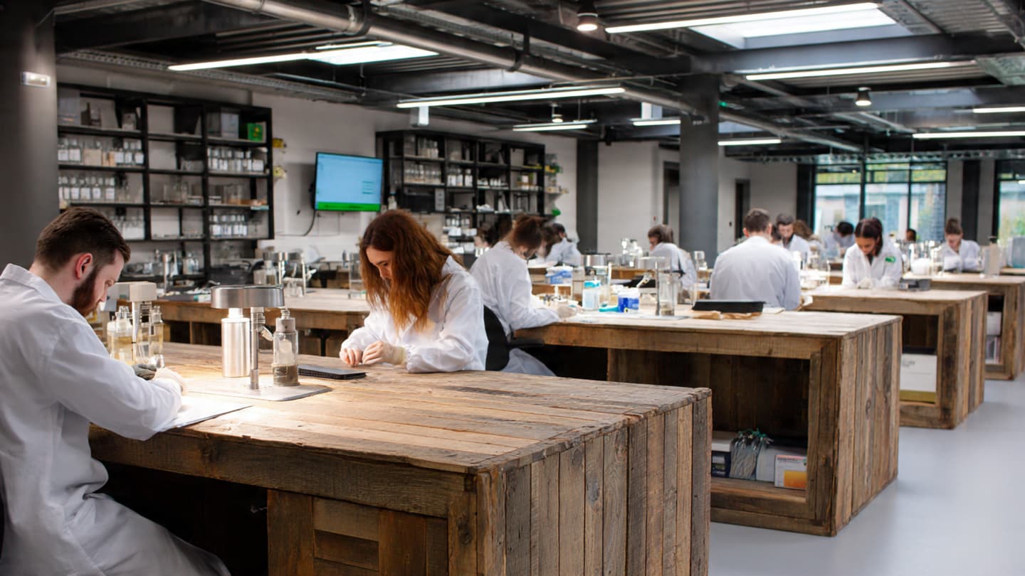 Tiny Threads Beneath the Soil Are Inspiring Tomorrow’s Sustainable Materials