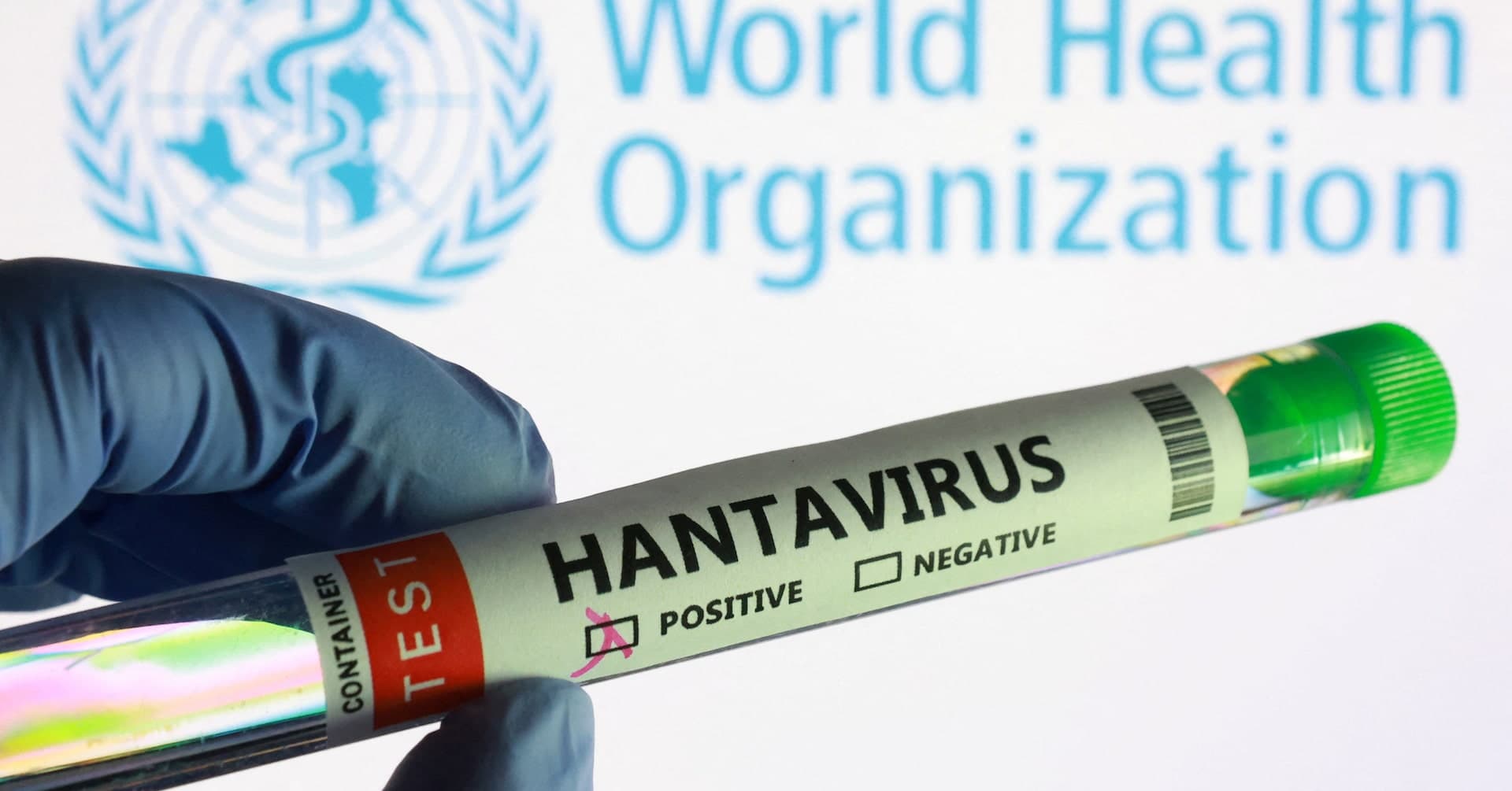 Experts Race to Write Guidance to Contain First Ship-Borne Hantavirus Outbreak