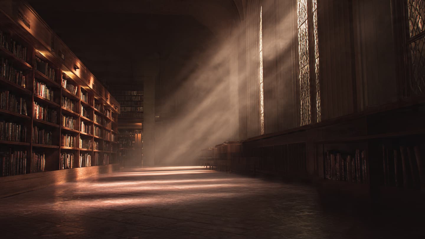 When the Sunshine State Dims, Tracking the Cold Logic of a Premeditated Descent