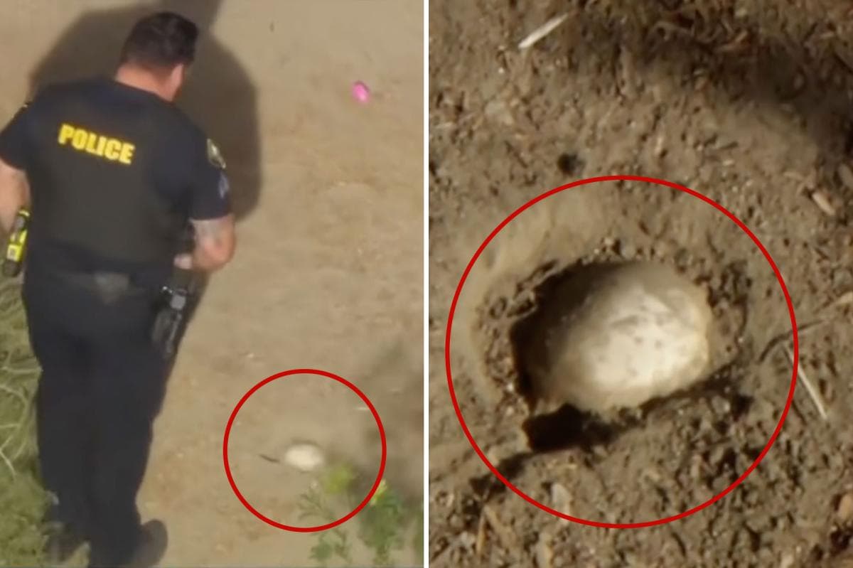 Human Skull Discovered During Easter Egg Hunt in California