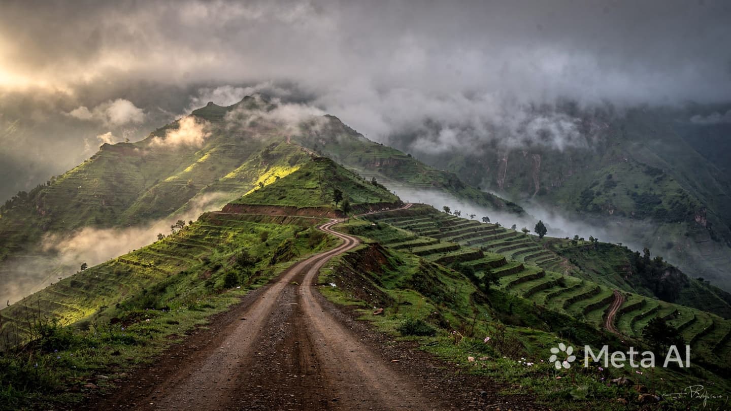The Green Tide of the South: When the Jazan Heights Refused the Hidden Cargo