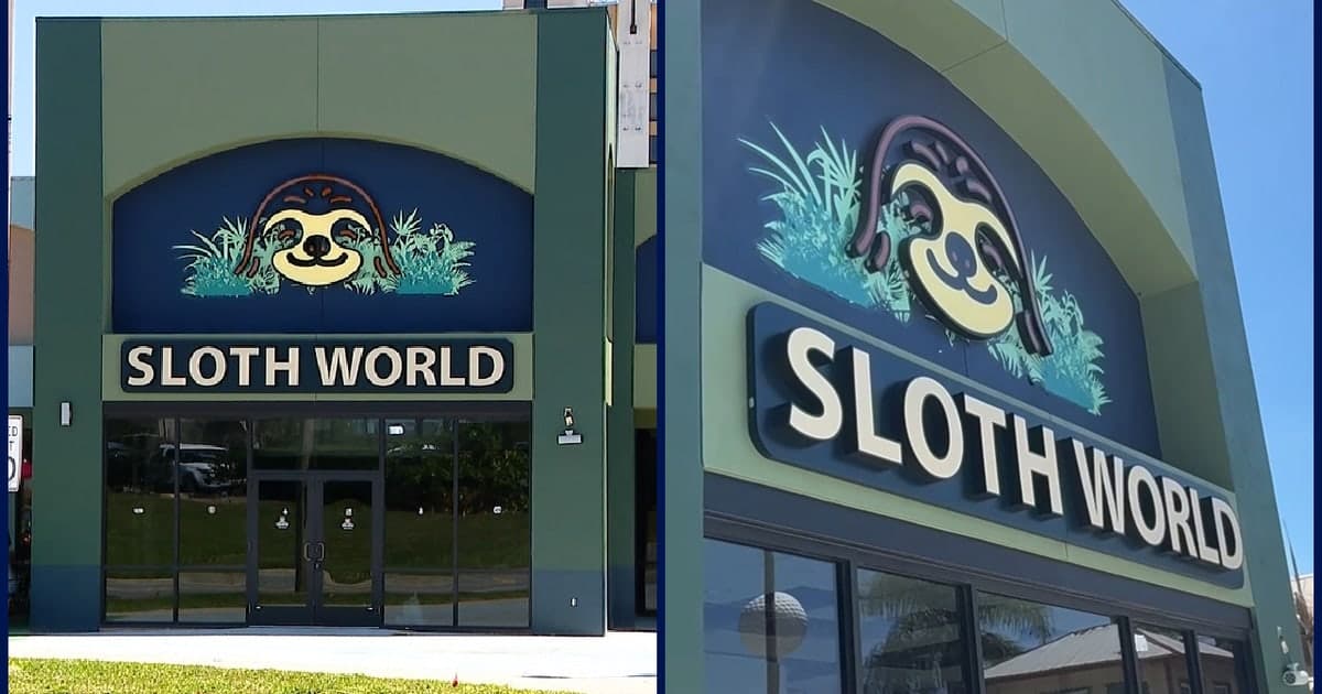 31 Sloths Died at Sloth World Orlando-Owned Warehouse: FWC Reports