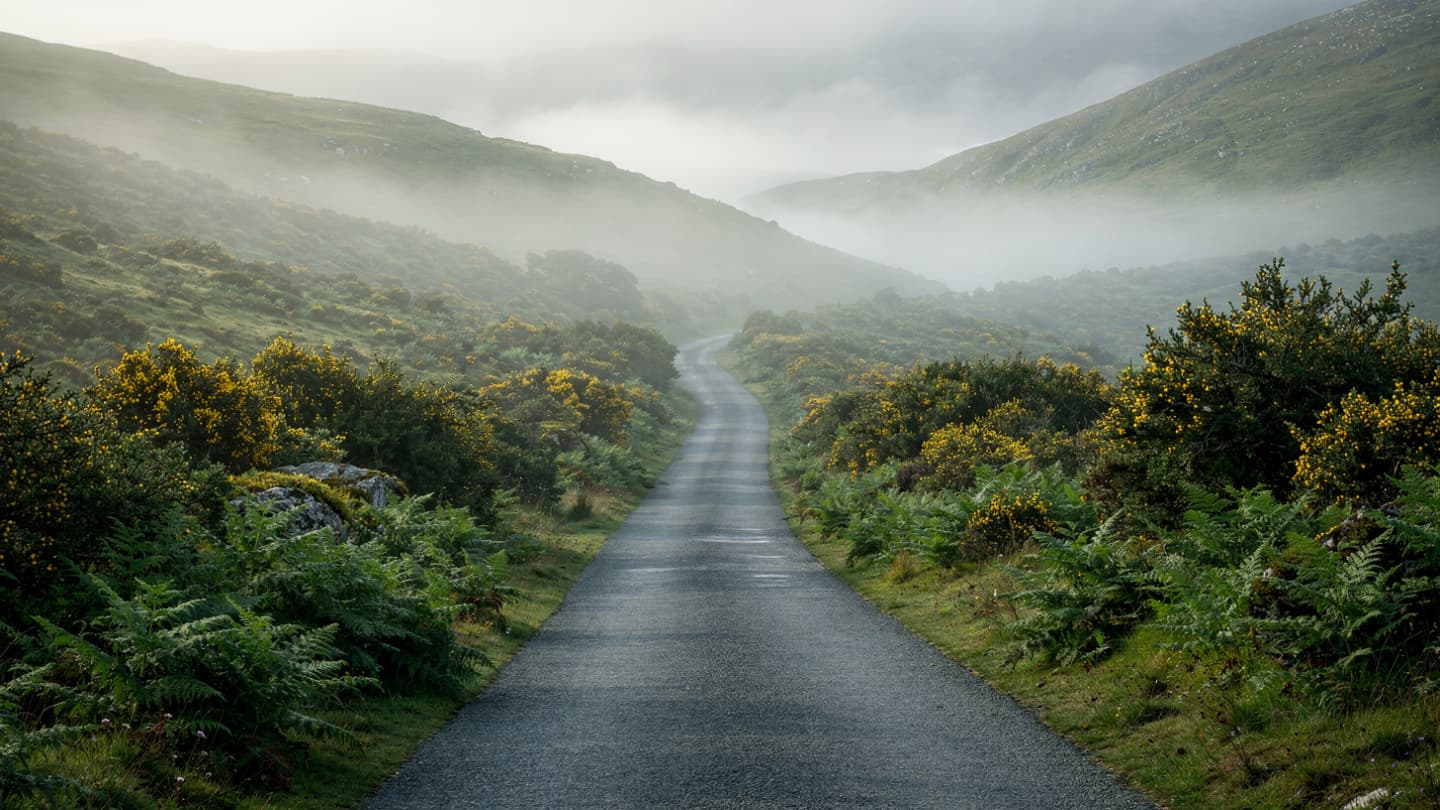 Quand le fer et le verre brisent la paix, une découverte dans les ombres de la campagne de Wicklow