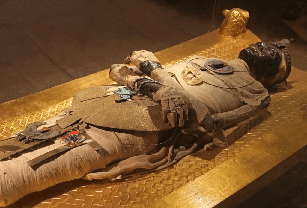 The Mummy and the Muse: The Stunning Discovery of Homer’s Iliad Hidden in an Egyptian Tomb