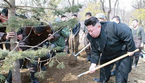 North Korean Soldiers Grumble Over Futile Tree Planting Efforts