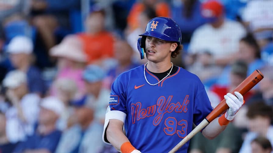 Eight Arrested for ‘Brutal’ Attack on Capybara in Brazil