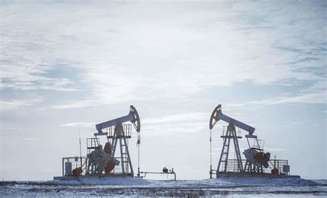 France Introduces 'Flash Fuel Loans' to Protect Small Businesses from Rising Oil Prices