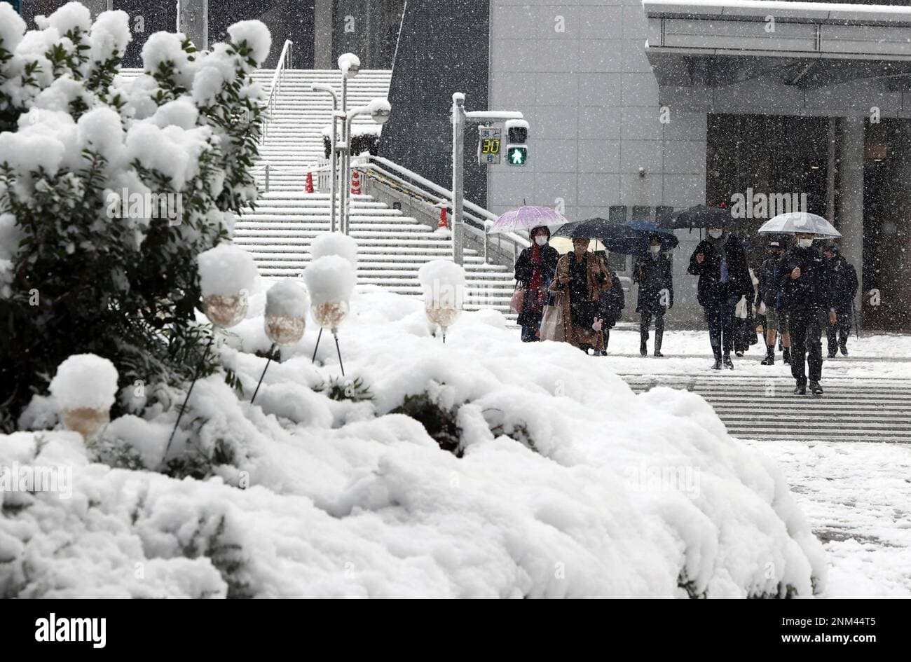 “Winter Ballots and Wavering Winds: Can Takaichi Turn Snowflakes into a Sweep of Power?”