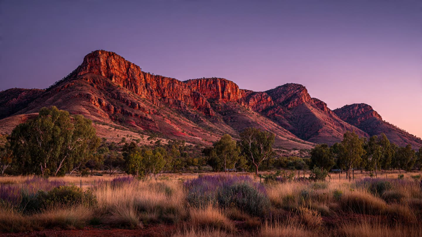 Between the Ancient Stone and the Modern Law, A Narrative of the Desert’s Restless Heart