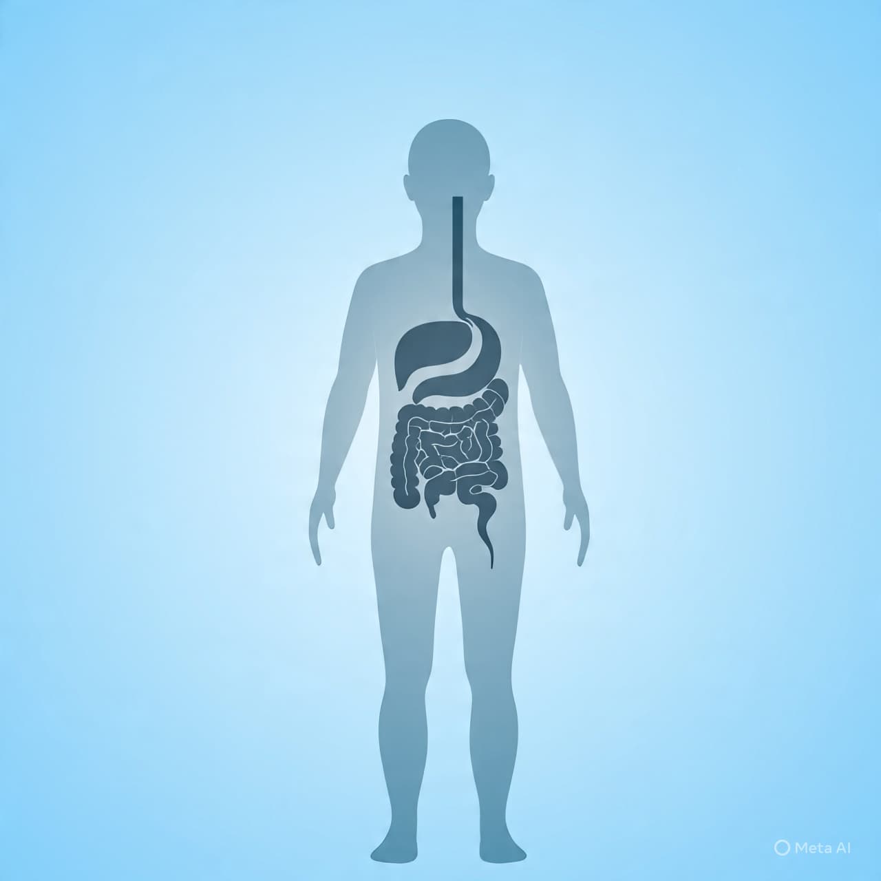 The Hidden Clock in Your Gut — How Delay in Bowel Movements Affects Well-being