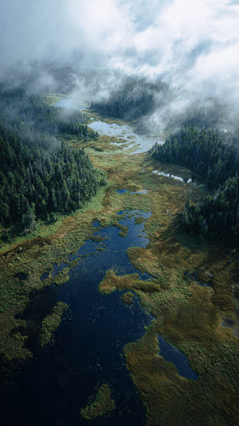 Of Borders and Biospheres: When the Nation Speaks for the Earth