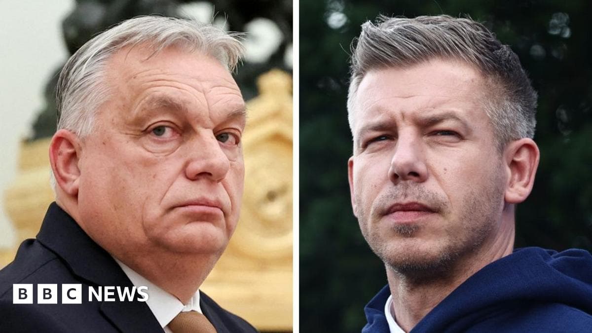 Hungary Election: Orbán Concedes to Tisza After Projections Show Opposition Winning Two-Thirds Majority