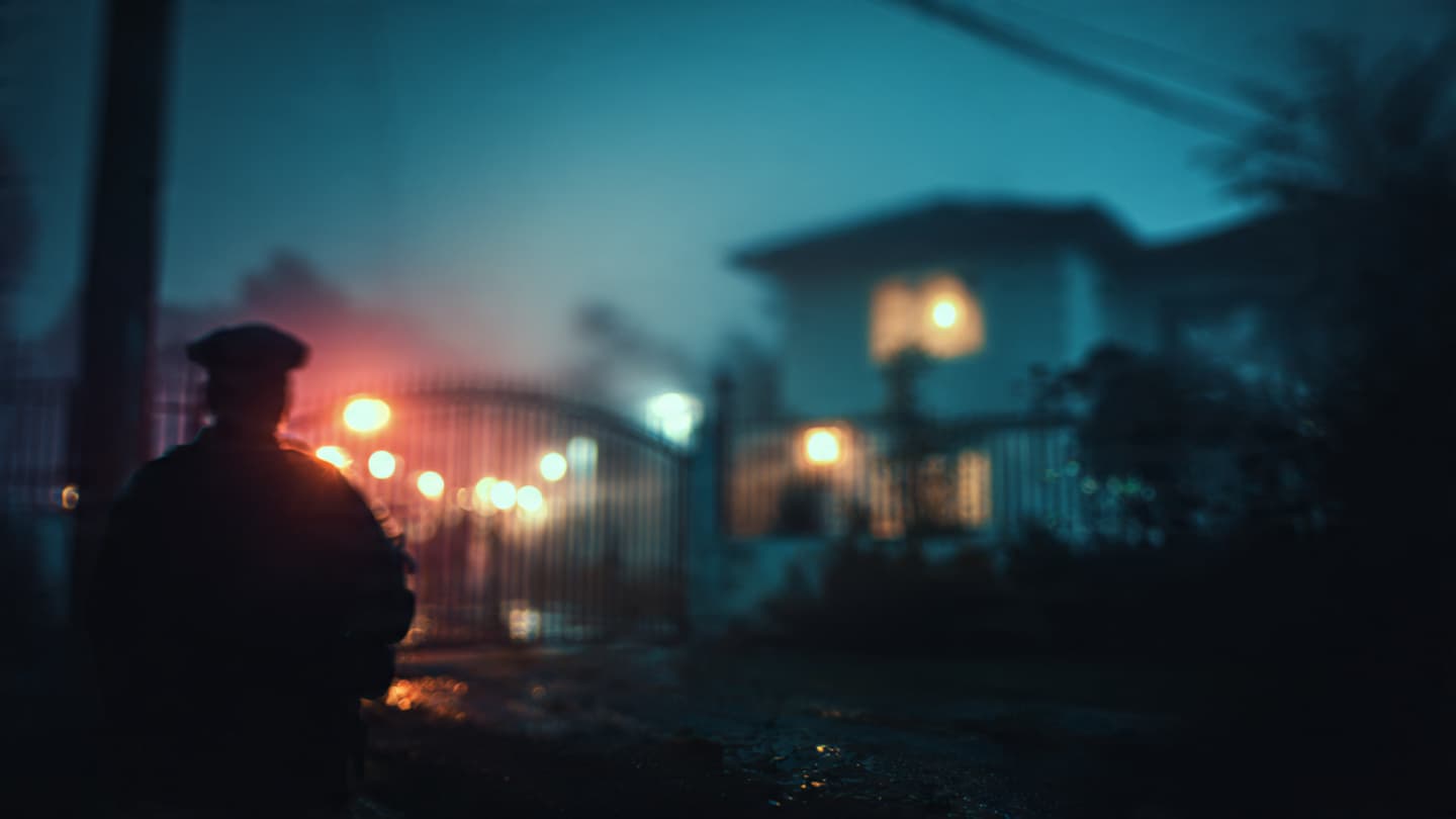 When the Quiet Streets Reveal Their Secrets: A Reflection on the Great Suburban Seizure