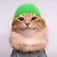 At Daybreak, the Headlines Breathe: Leadership, Lunch Lines, and a Government Reopened44245t3664