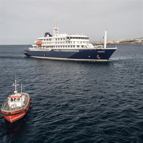 WHO Director General Announces He Will Personally Oversee Hantavirus Cruise Evacuation