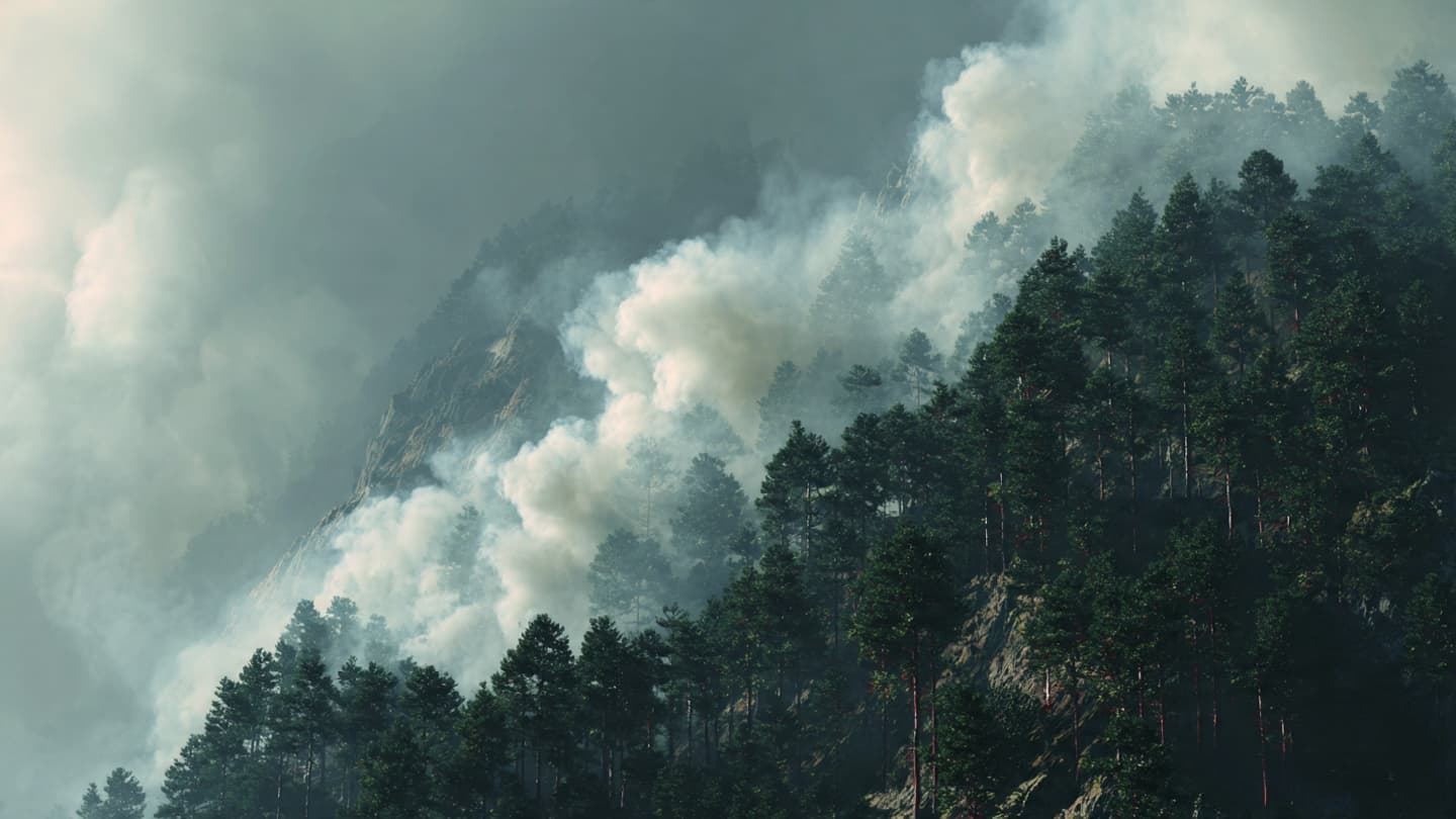 The Long Watch Against the Mountain Blaze: Navigating the Smoke of the West
