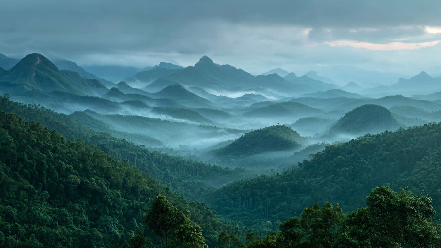 Between the Peaks and the Pills: A Meditation on the Vigilance of the Frontier