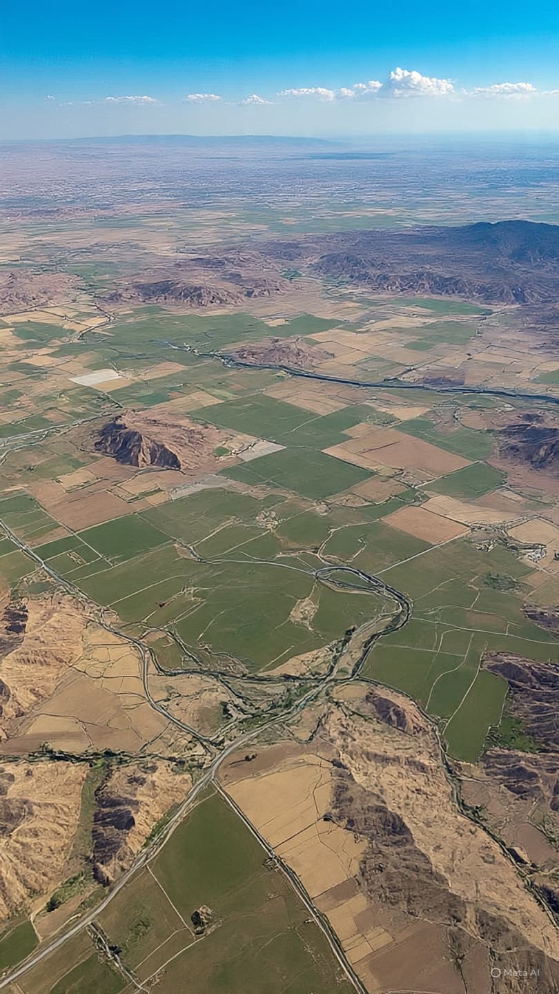 Across Quiet Hills and Shifting Lines: Settlements, Statements, and the Weight of the West Bank