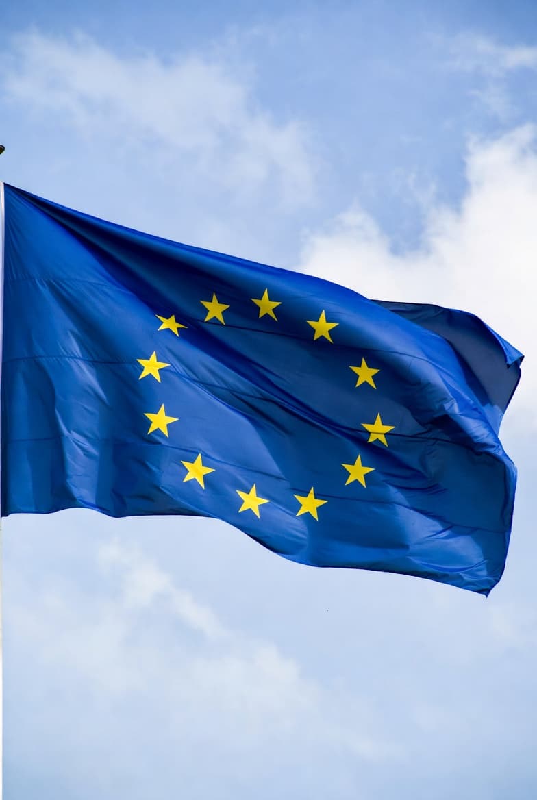 Elon Musk Calls for the Abolition of the European Union: The Clash That Shook Brussels