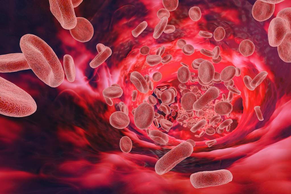 McGill Researchers Develop ‘Life-Saving’ Way to Stop Bleeding Fast
