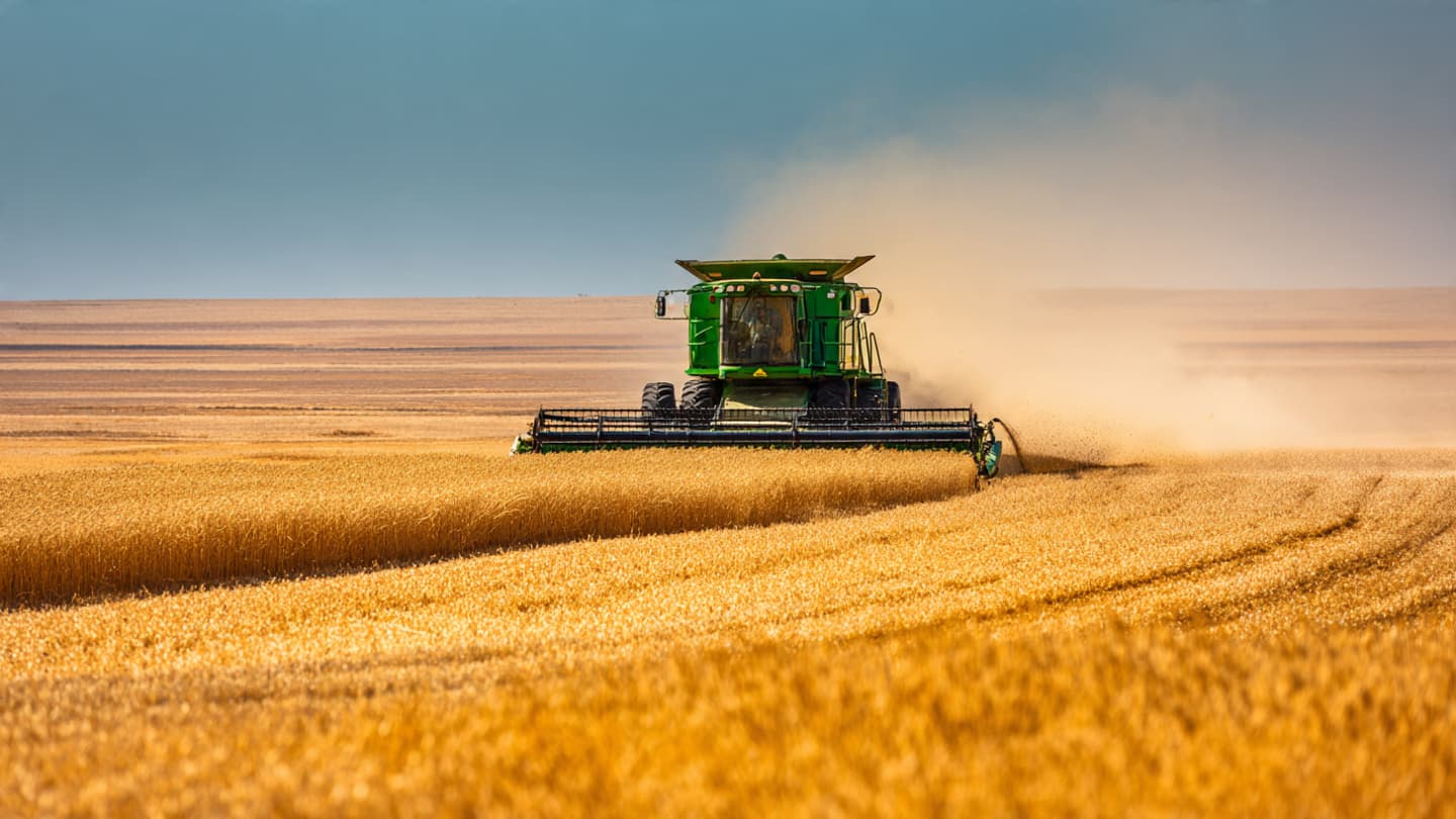 The Golden Sifting: A Narrative of Seasonal Change Within the Vast Australian Grain Belts