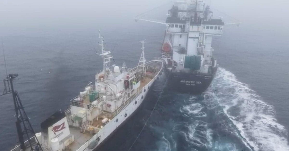 Activist Vessel Collides with Krill Harvesting Vessel Off Antarctica