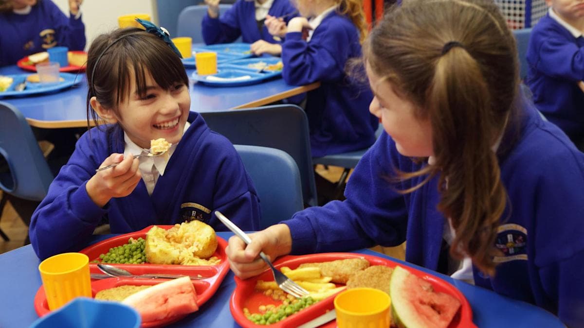 Deep-Fried Food to Be Banned from School Menus Across England to Combat Childhood Obesity
