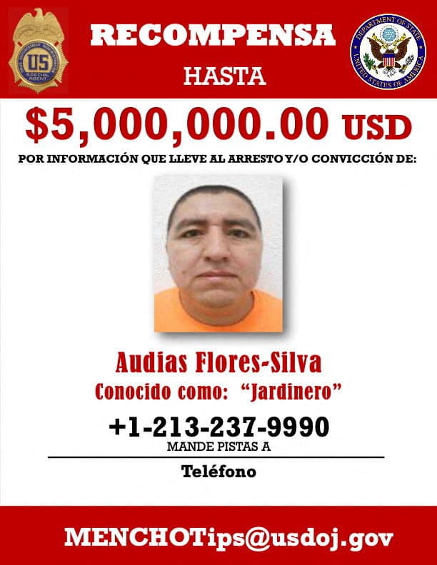 Top Jalisco Cartel Leader 'El Jardinero' Arrested in Mexico, Minister Says