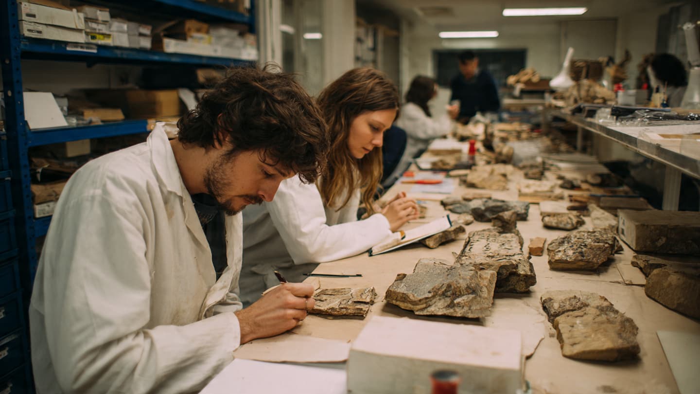 Ancient Marks in Stone Continue to Reshape Humanity’s View of Neanderthals