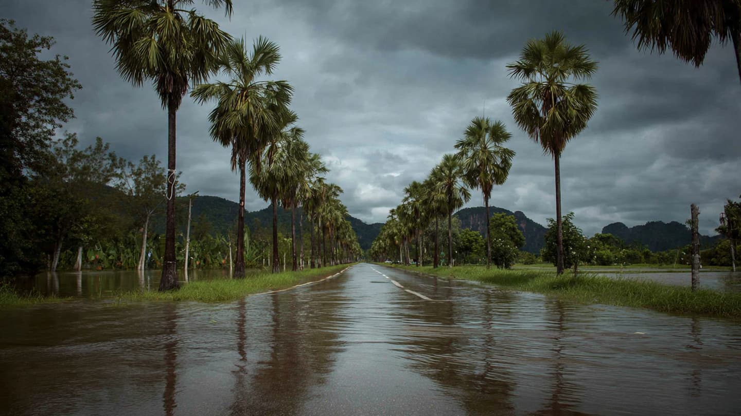 Where the Clouds Break Upon the Southern Soil, Reflections on the Unseasonable Falling Rain