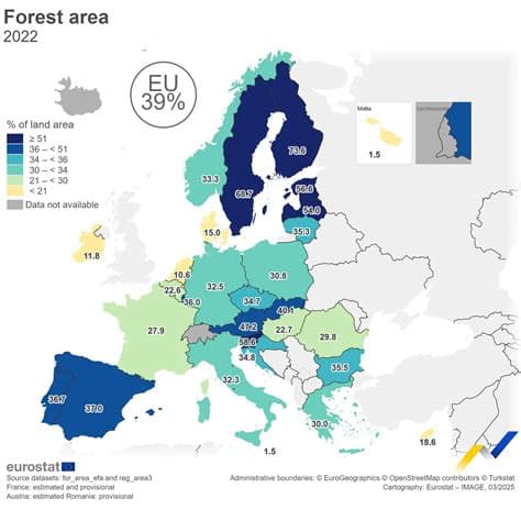 Forests Cover 39% of EU Land Area in 2023, Five Countries Exceed 50%